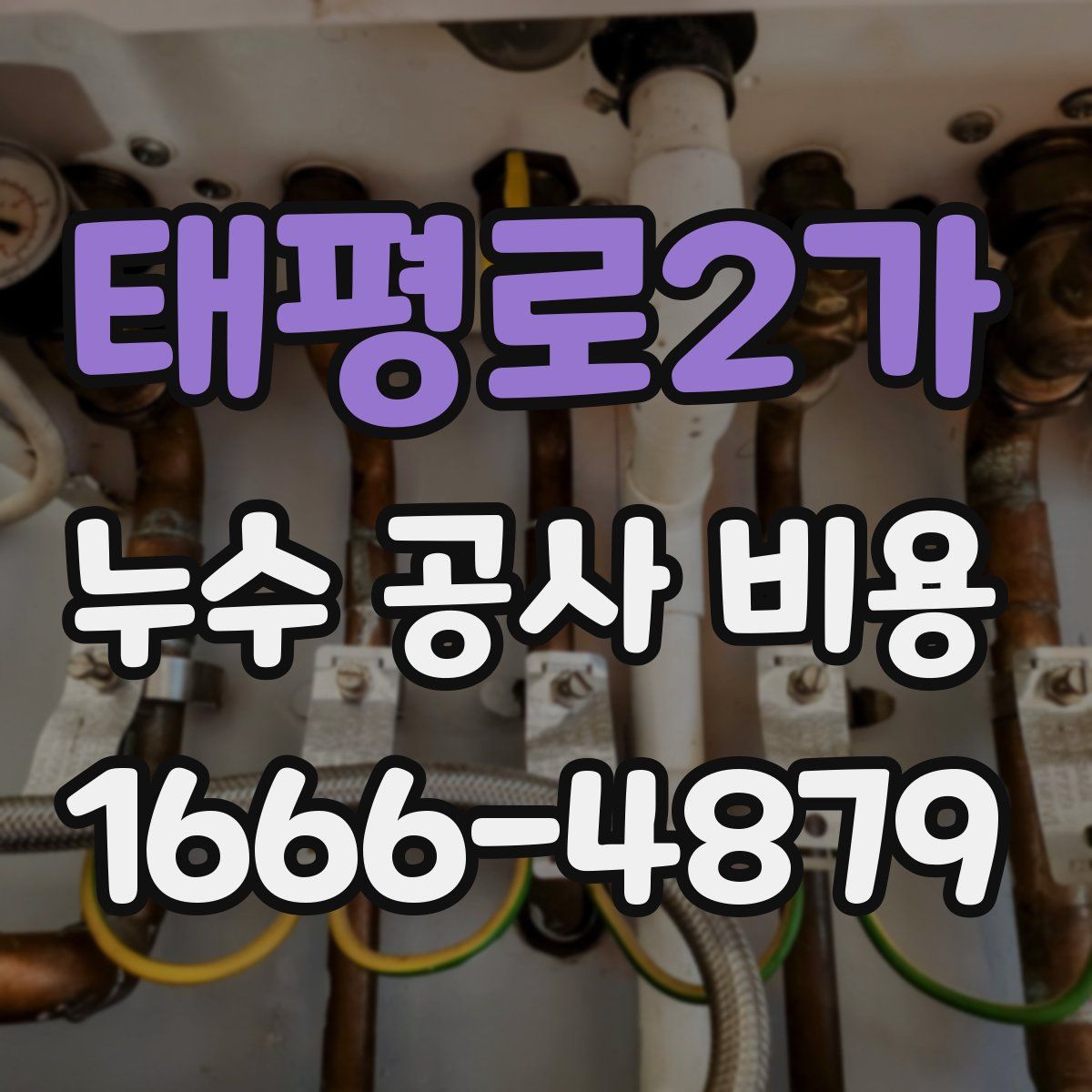 태평로2가 누수 공사 비용
