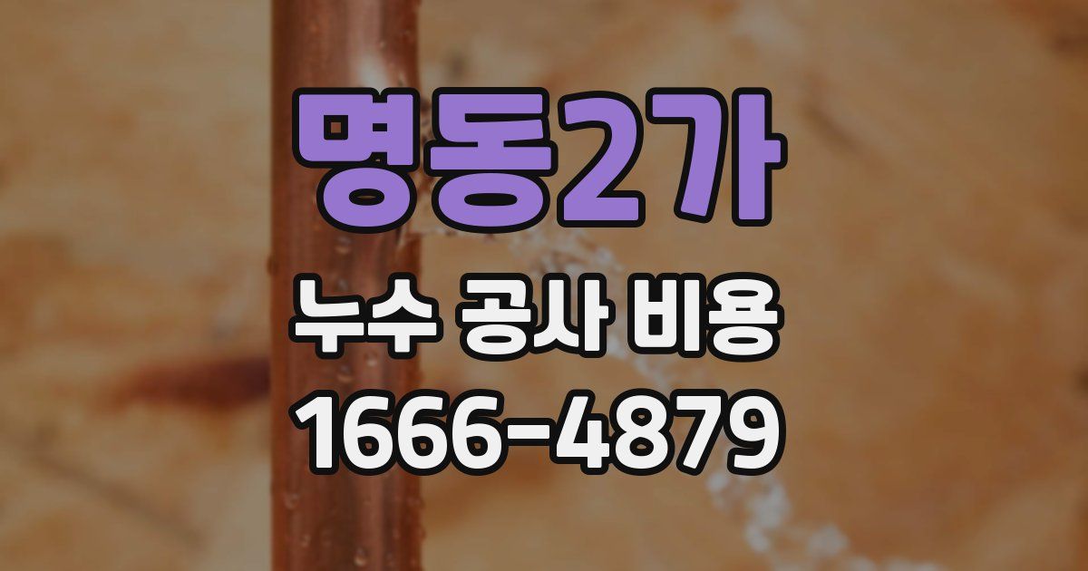 명동2가 누수 공사 비용