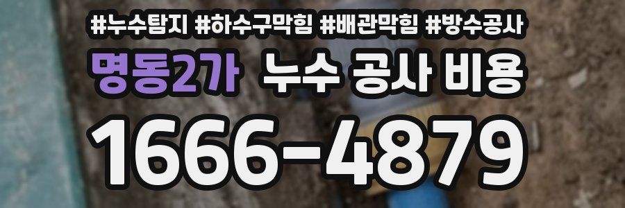 명동2가 누수 공사 비용