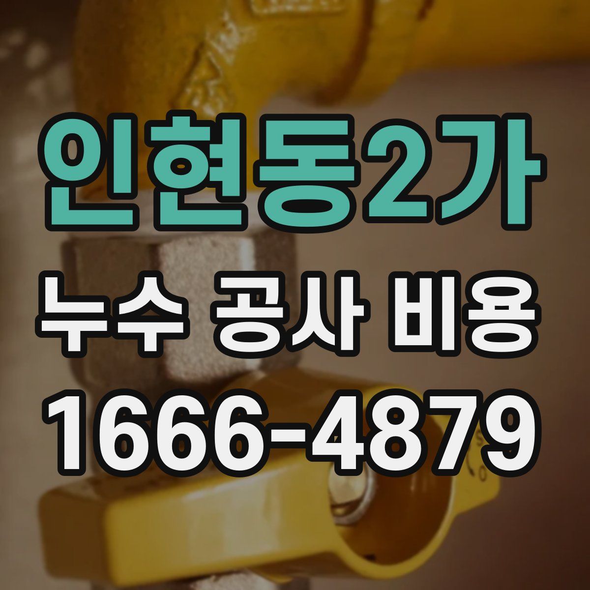 인현동2가 누수 공사 비용