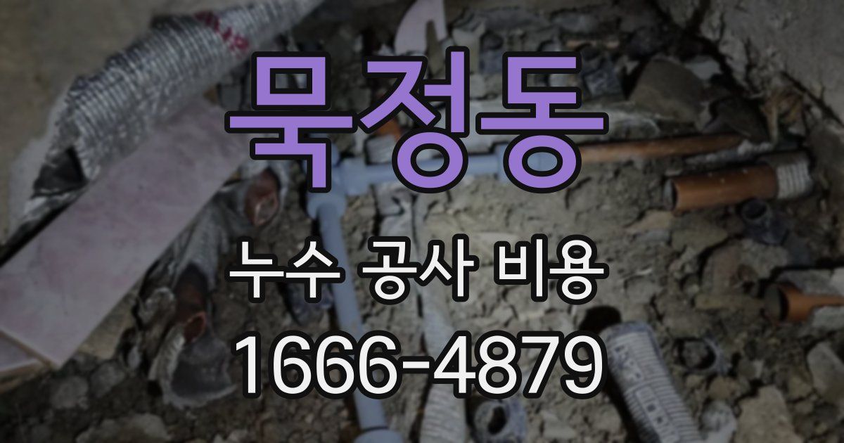 묵정동 누수 공사 비용