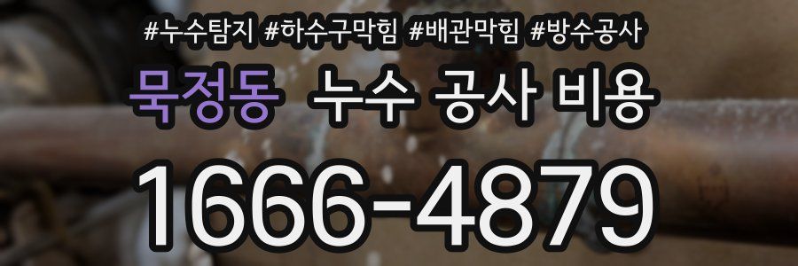 묵정동 누수 공사 비용