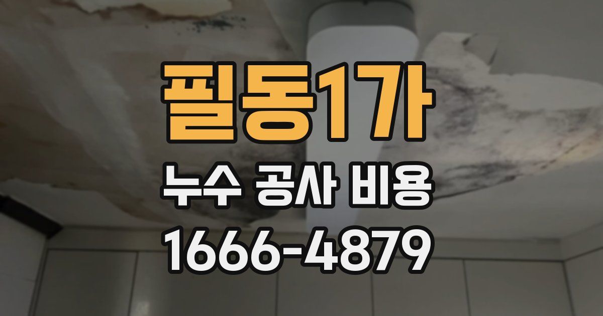 필동1가 누수 공사 비용