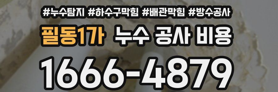 필동1가 누수 공사 비용