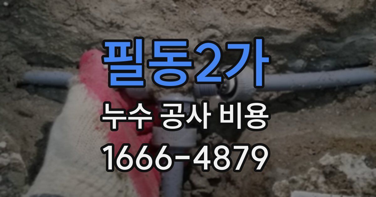 필동2가 누수 공사 비용