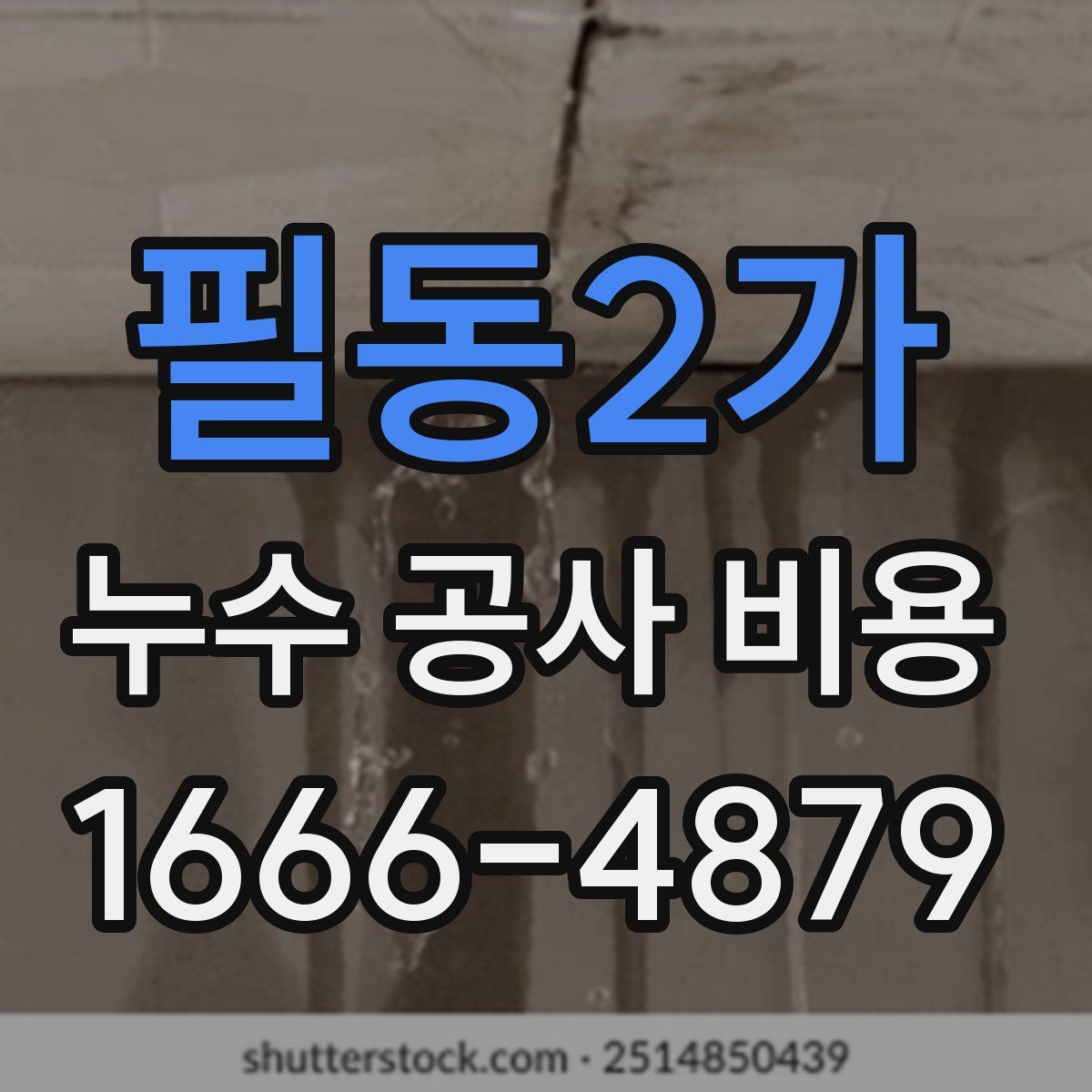 필동2가 누수 공사 비용