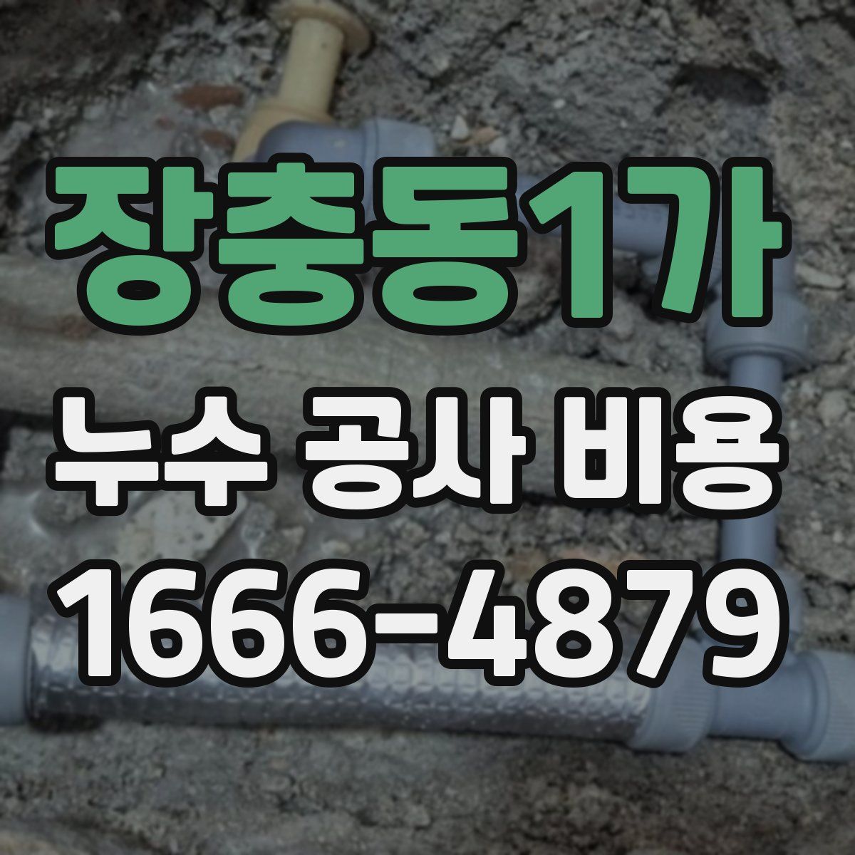장충동1가 누수 공사 비용