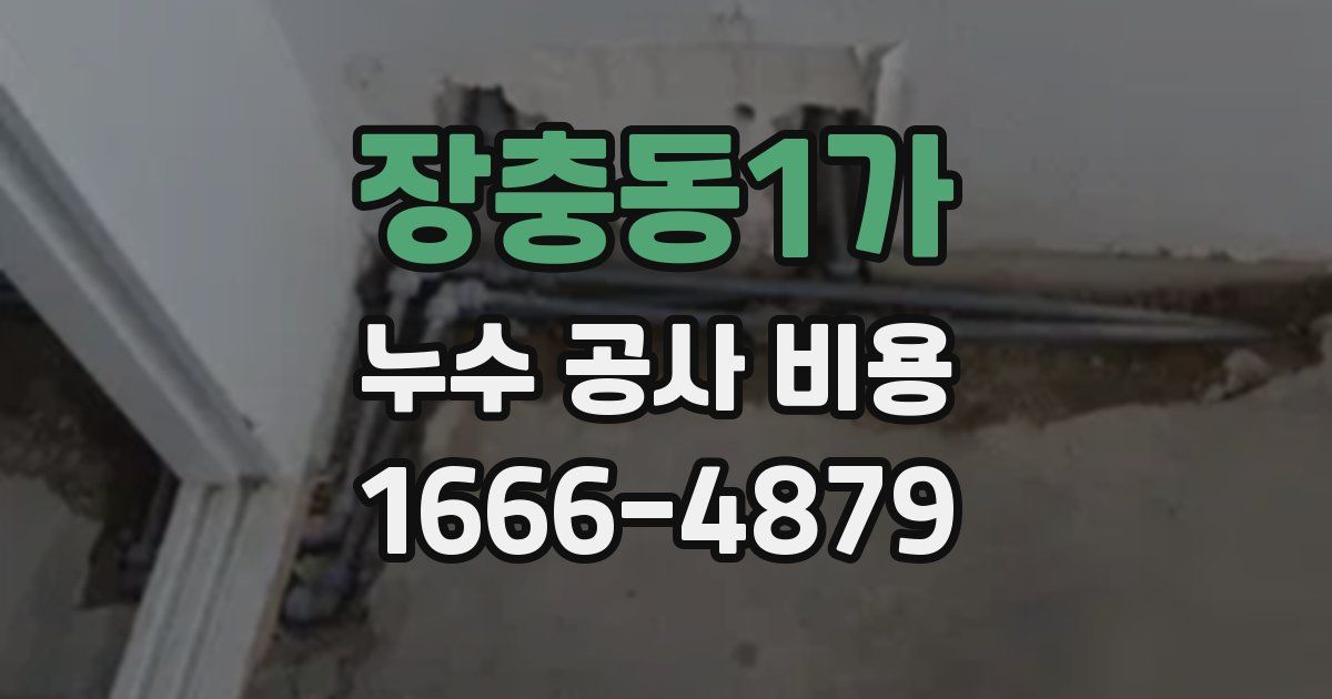 장충동1가 누수 공사 비용