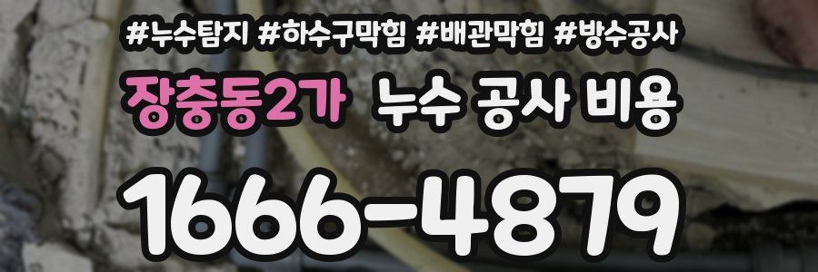 장충동2가 누수 공사 비용