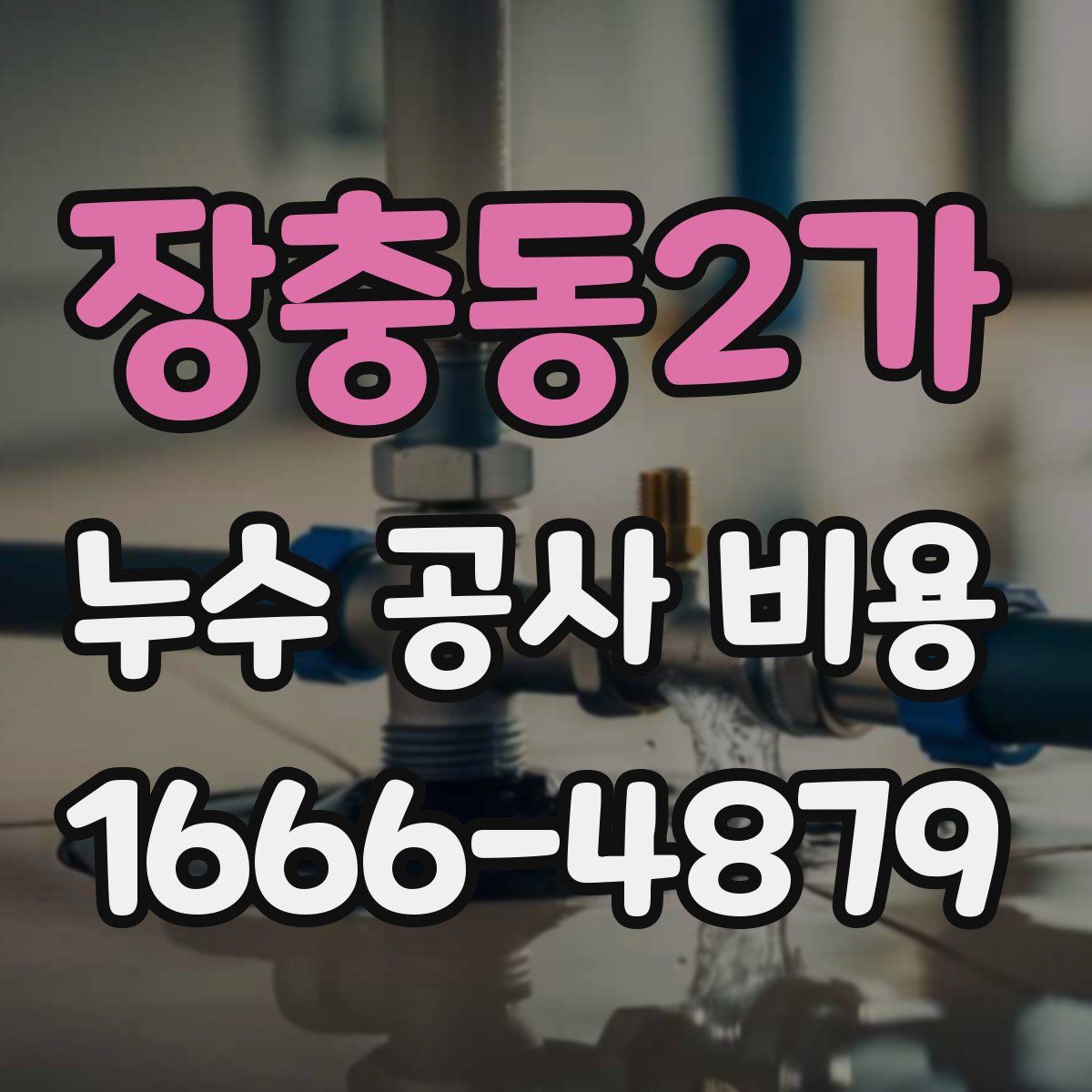 장충동2가 누수 공사 비용