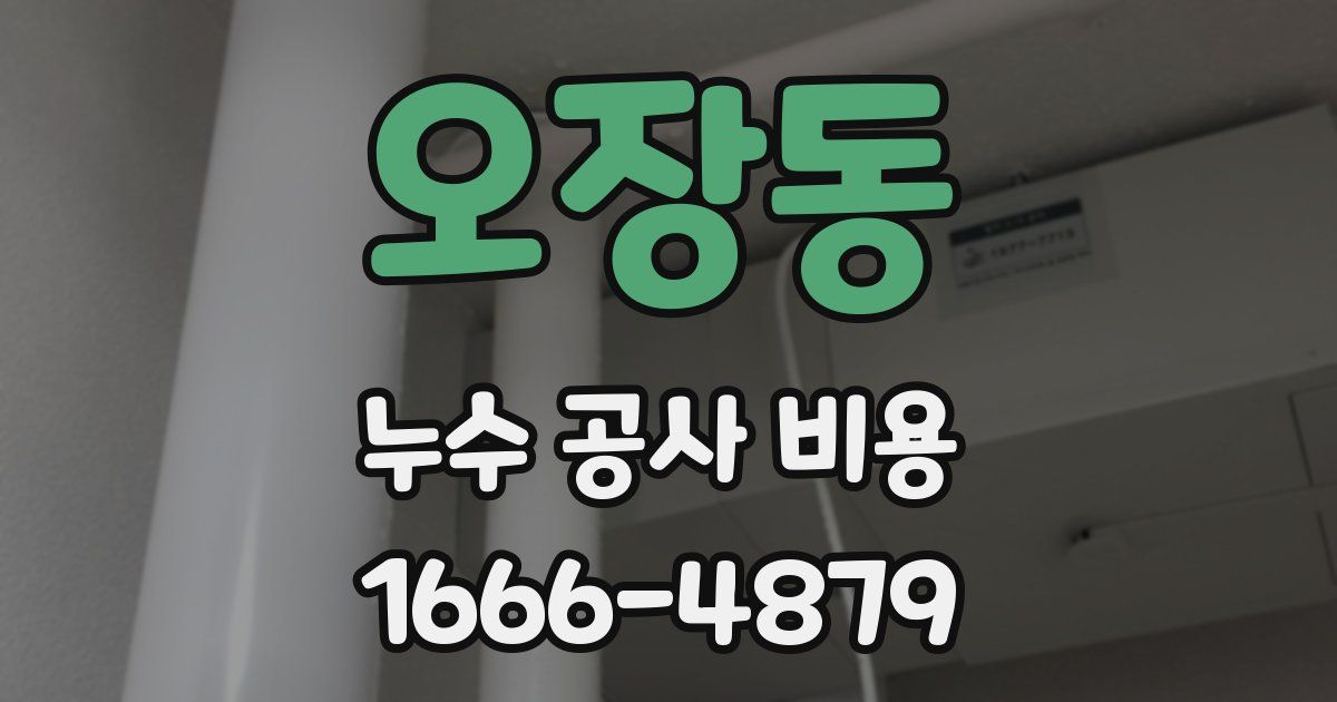 오장동 누수 공사 비용