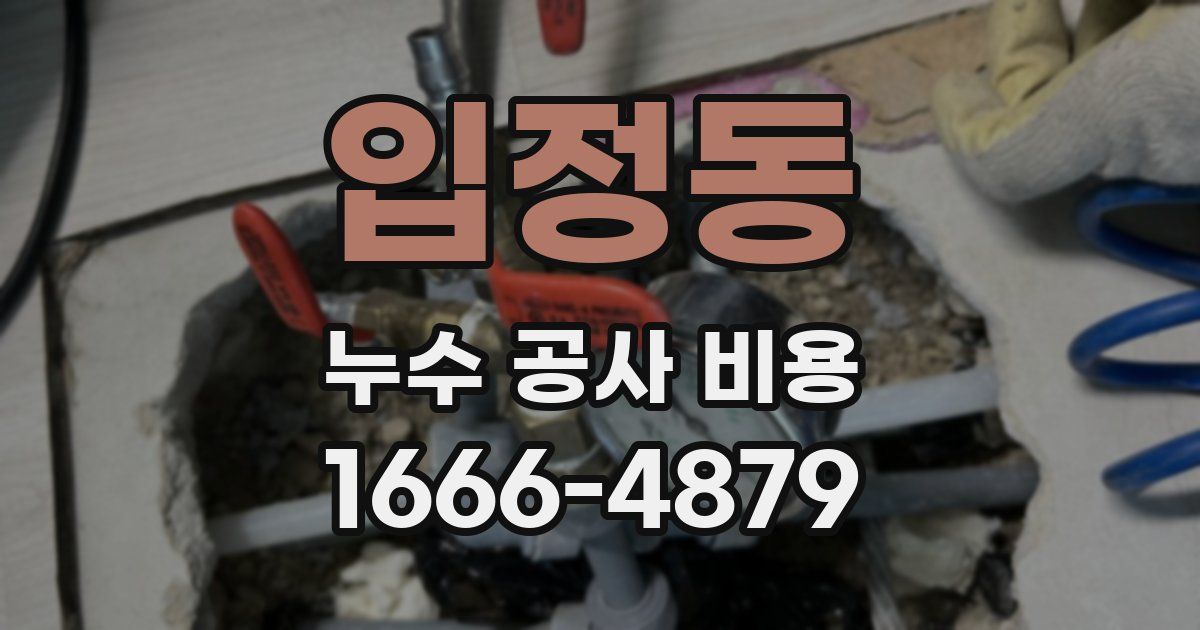 입정동 누수 공사 비용
