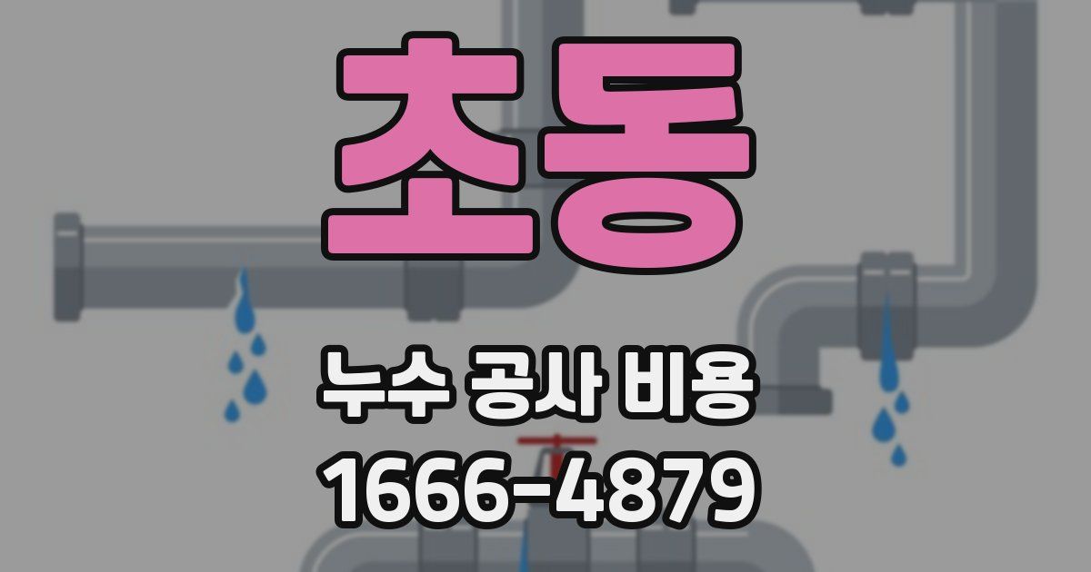 초동 누수 공사 비용