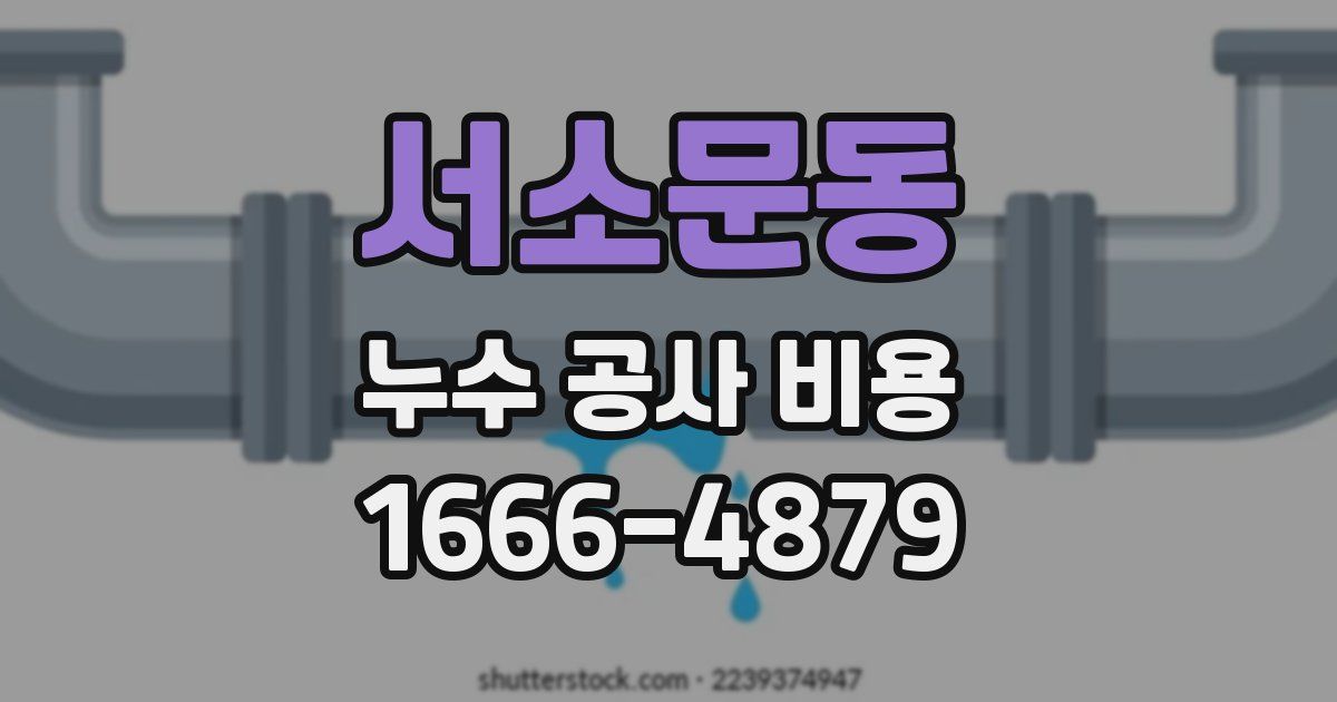 서소문동 누수 공사 비용
