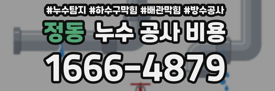 정동 누수 공사 비용