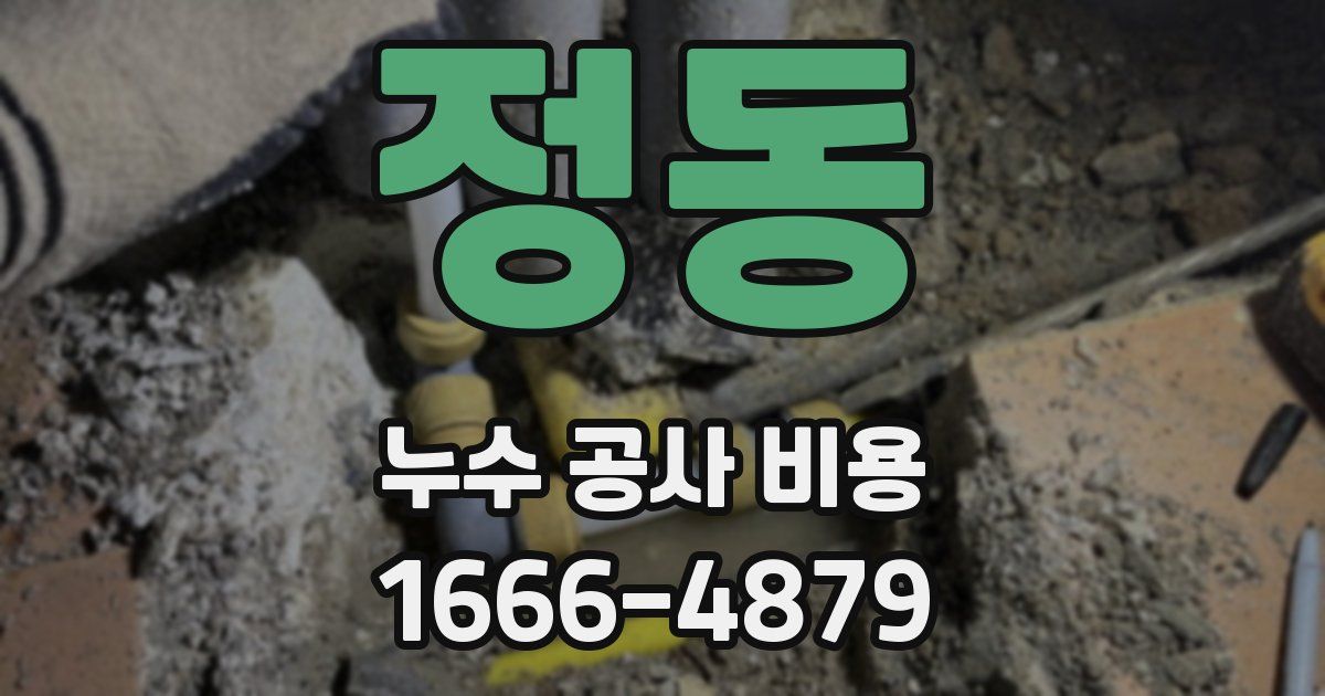 정동 누수 공사 비용