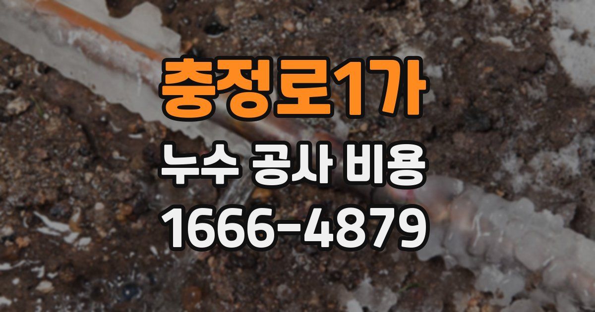 충정로1가 누수 공사 비용