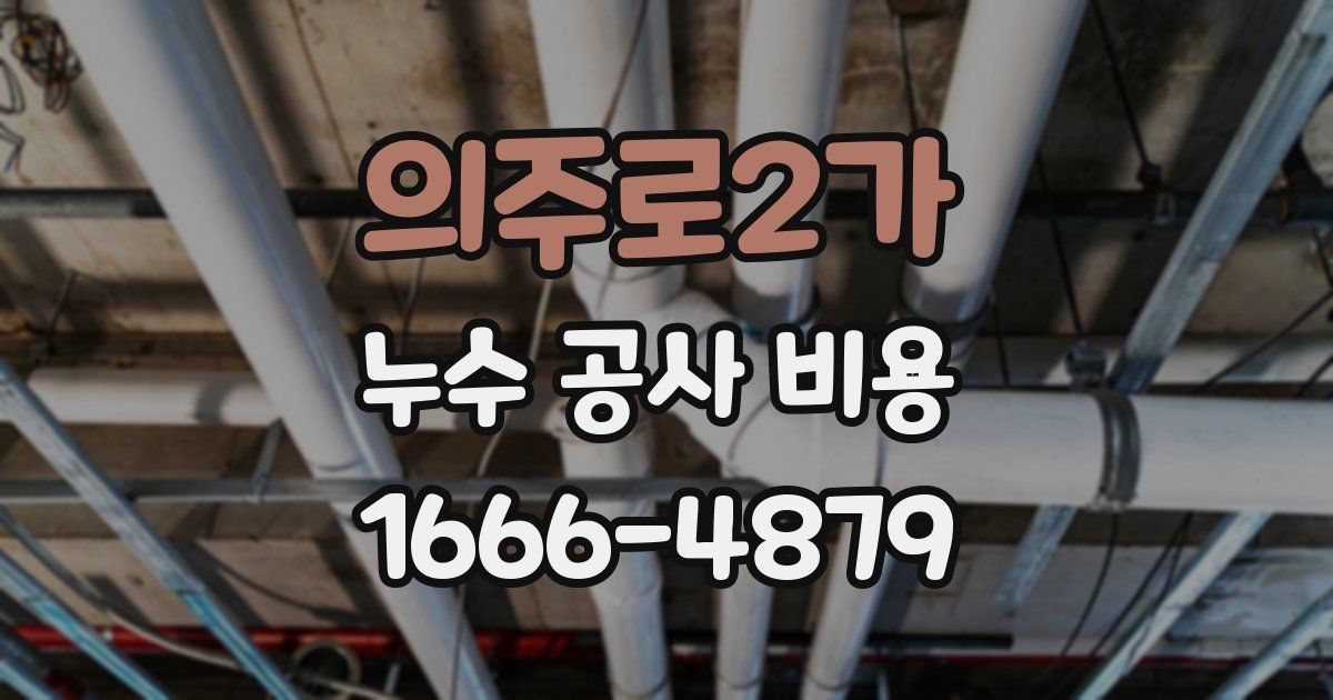 의주로2가 누수 공사 비용