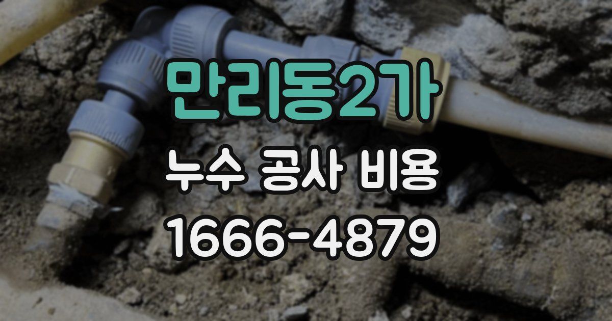 만리동2가 누수 공사 비용