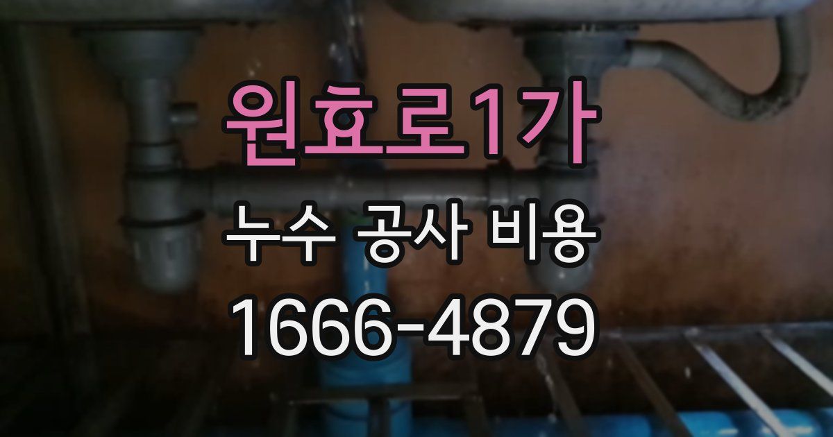 원효로1가 누수 공사 비용
