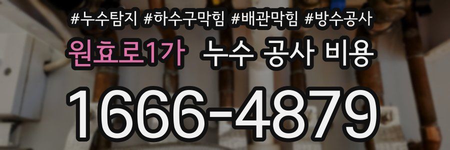 원효로1가 누수 공사 비용