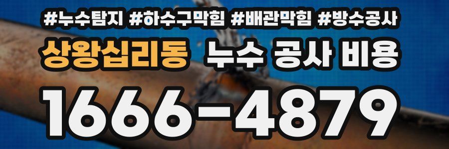 상왕십리동 누수 공사 비용