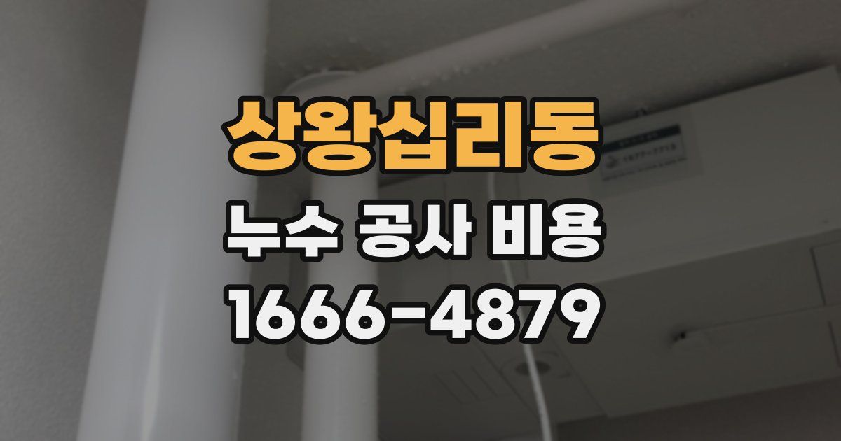 상왕십리동 누수 공사 비용