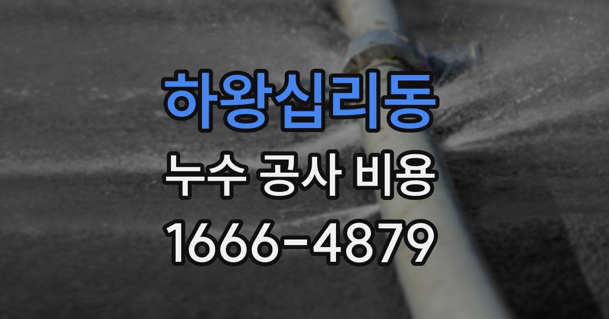 하왕십리동 누수 공사 비용