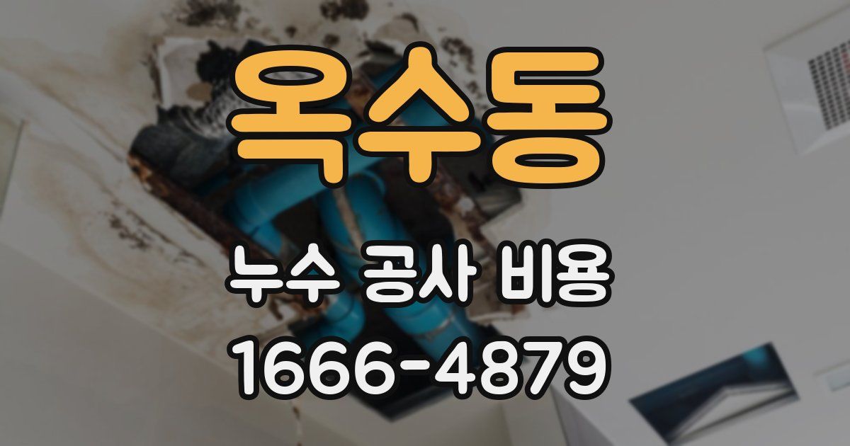옥수동 누수 공사 비용