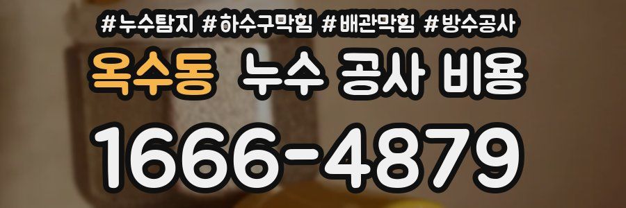 옥수동 누수 공사 비용