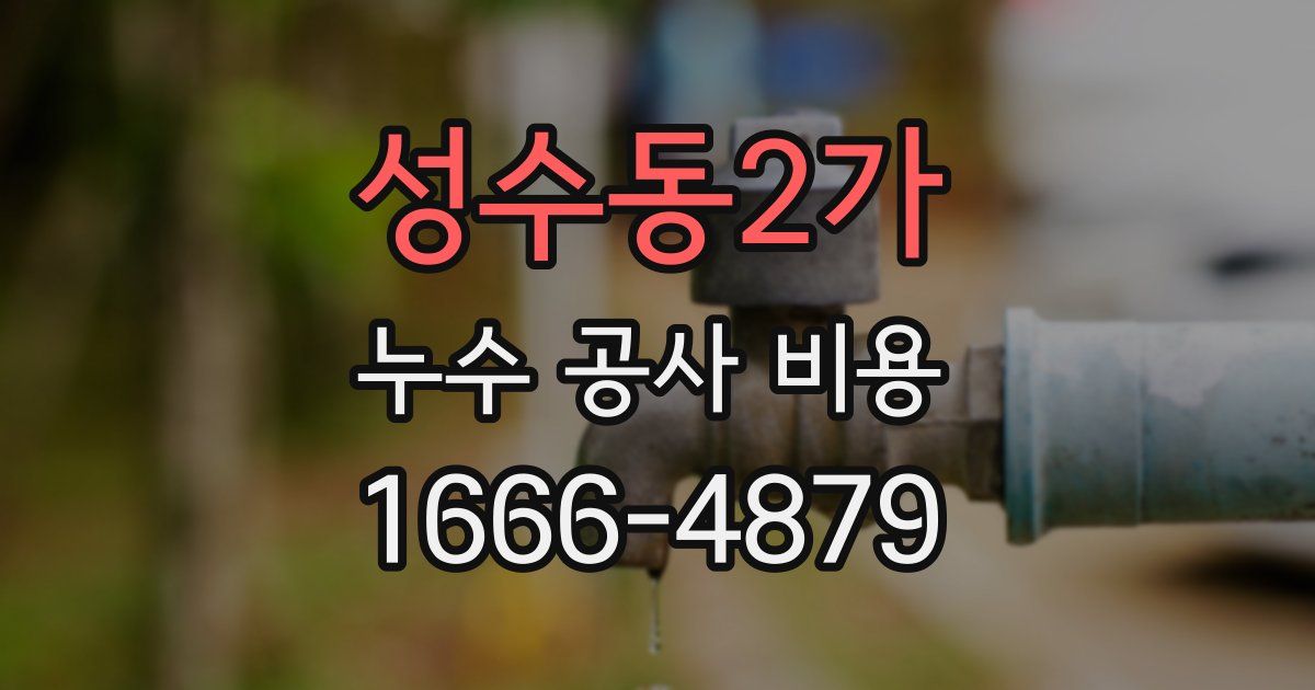 성수동2가 누수 공사 비용