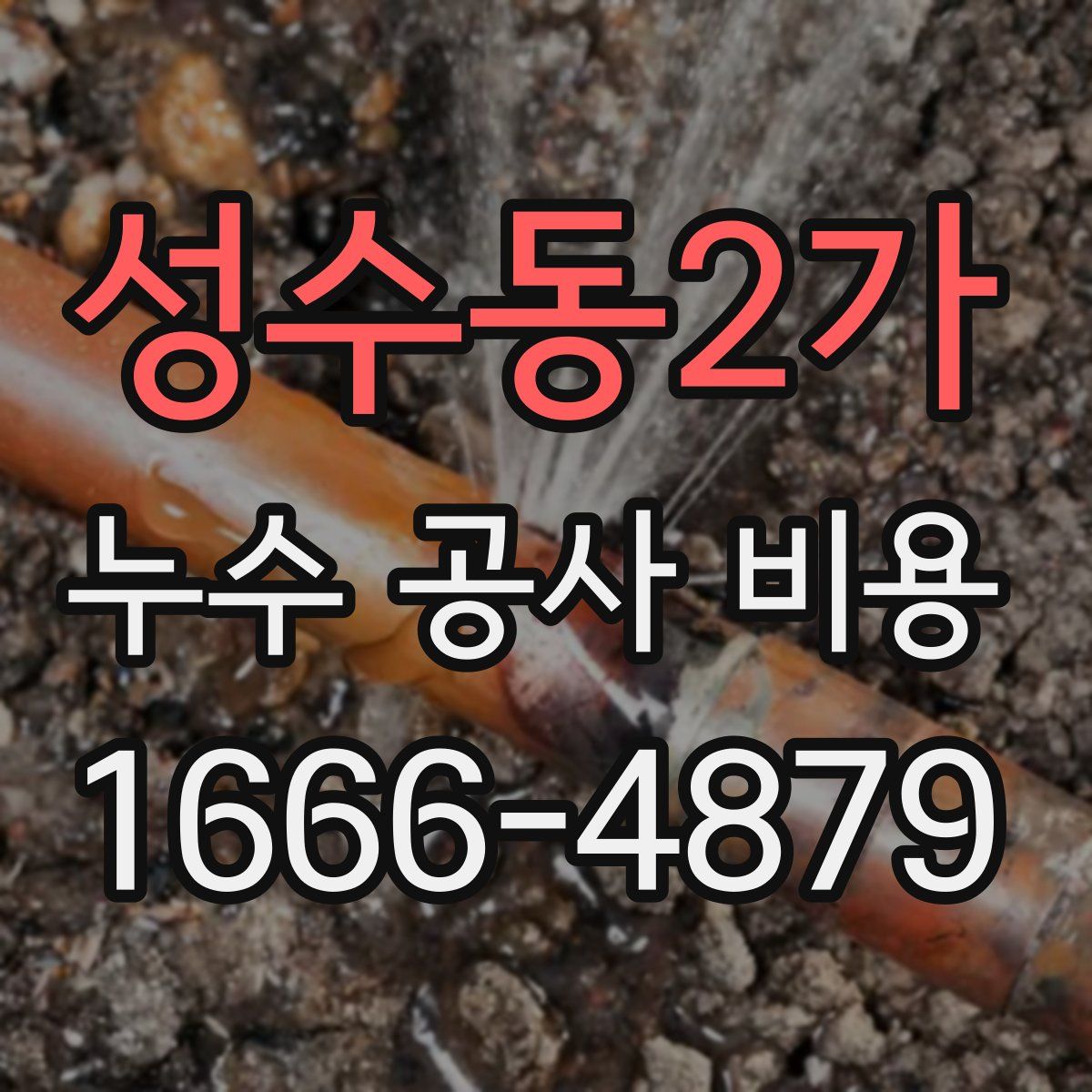 성수동2가 누수 공사 비용
