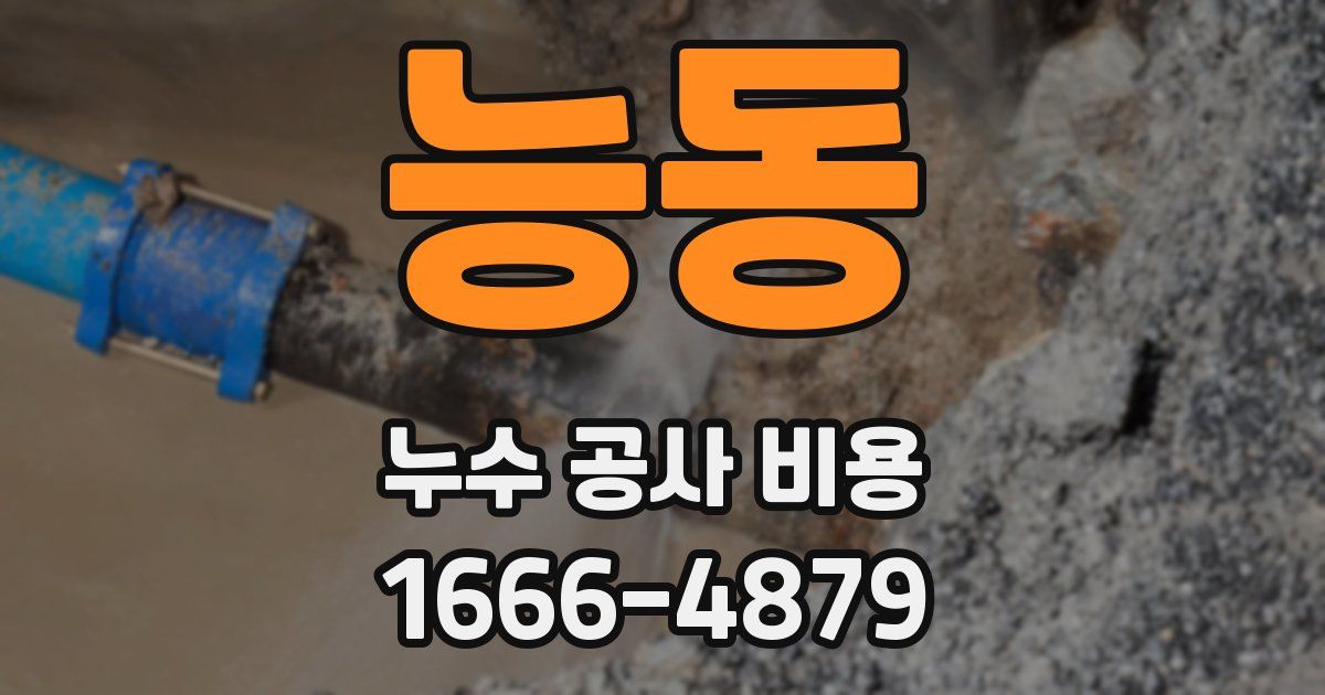 능동 누수 공사 비용