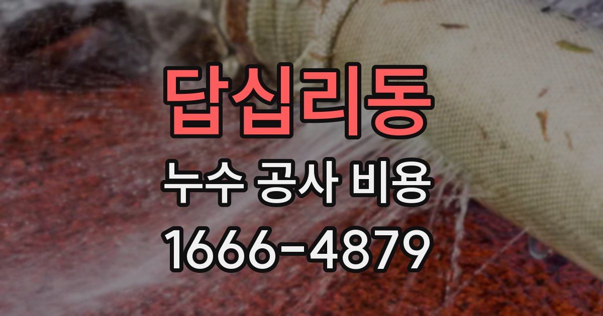 답십리동 누수 공사 비용