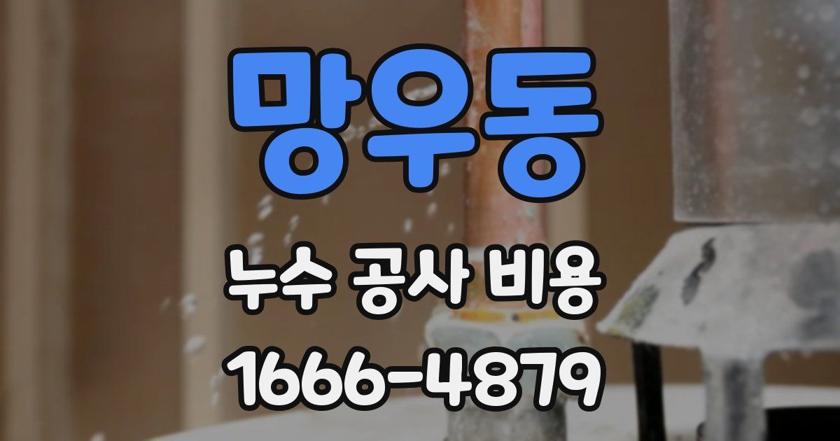 망우동 누수 공사 비용