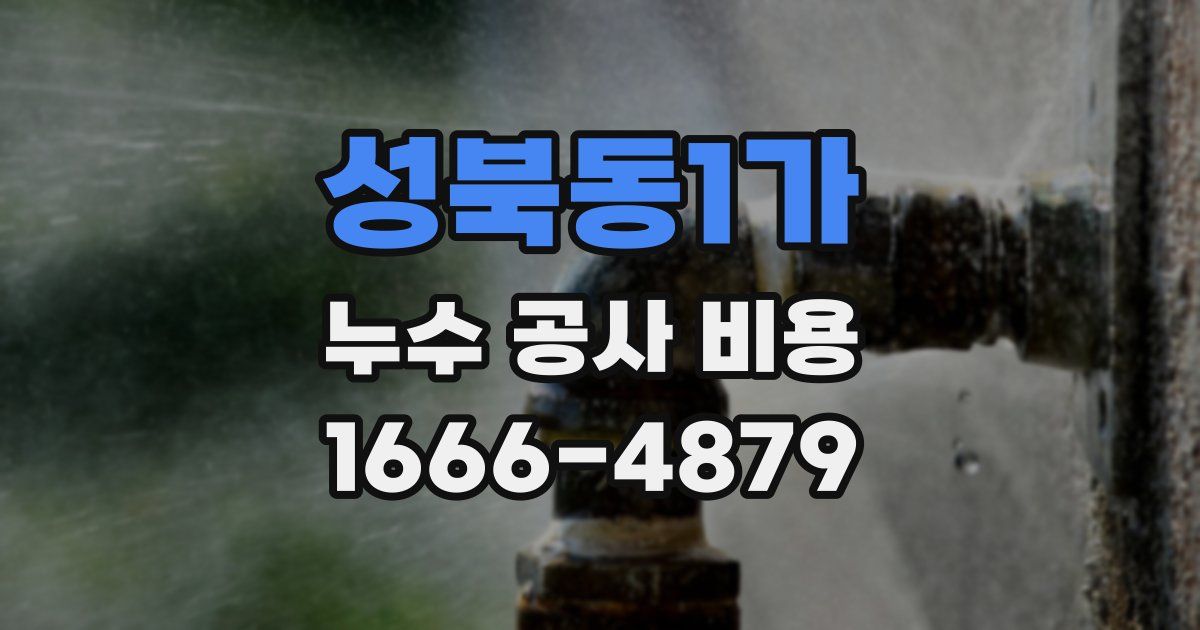 성북동1가 누수 공사 비용