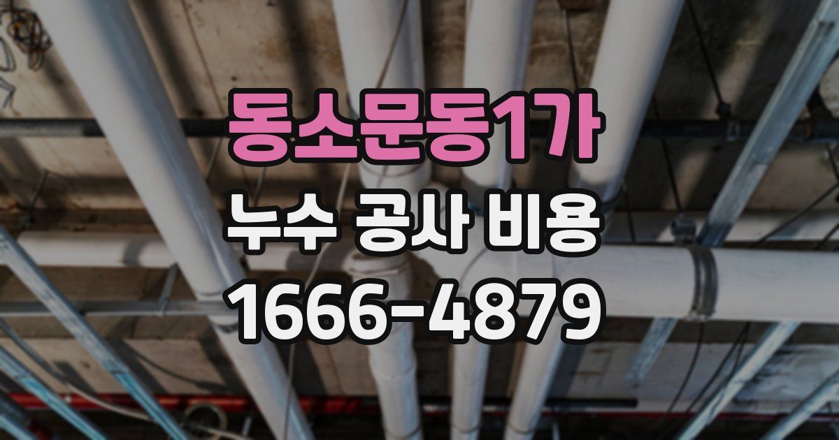 동소문동1가 누수 공사 비용