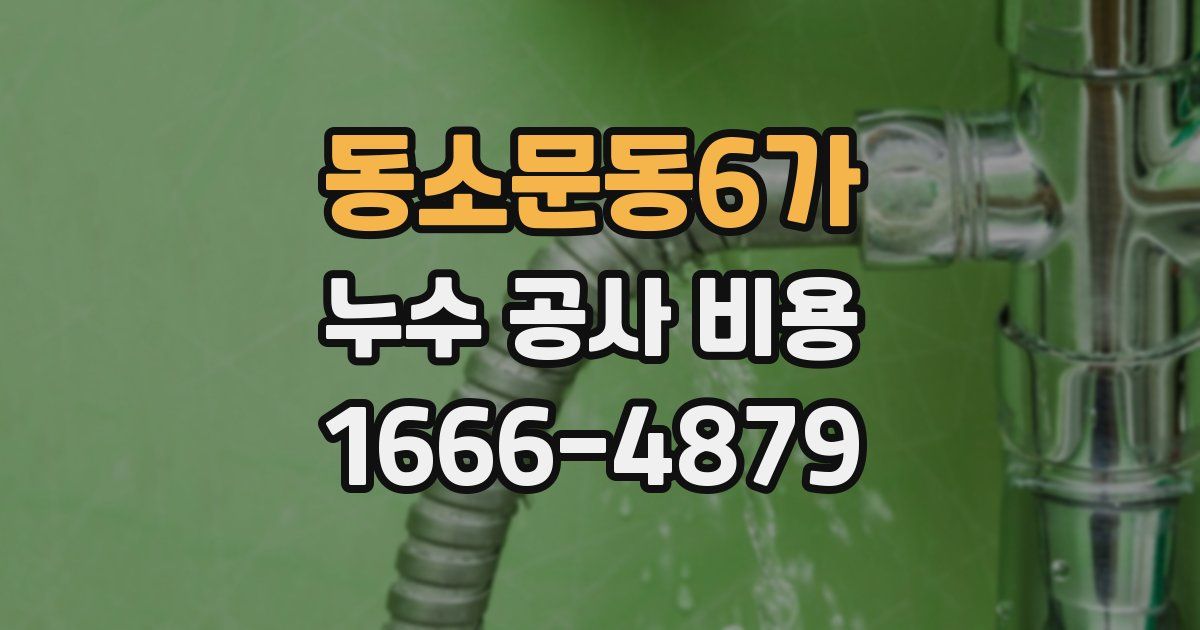 동소문동6가 누수 공사 비용