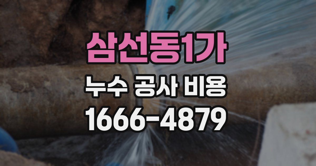 삼선동1가 누수 공사 비용