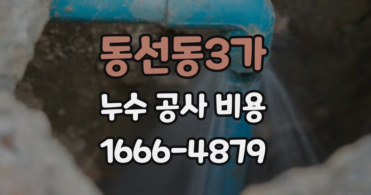 동선동3가 누수 공사 비용