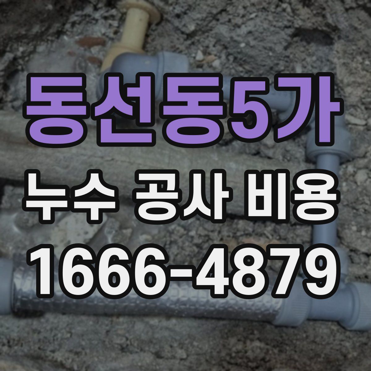 동선동5가 누수 공사 비용