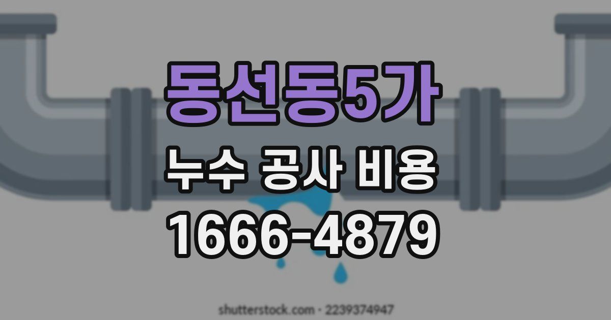 동선동5가 누수 공사 비용