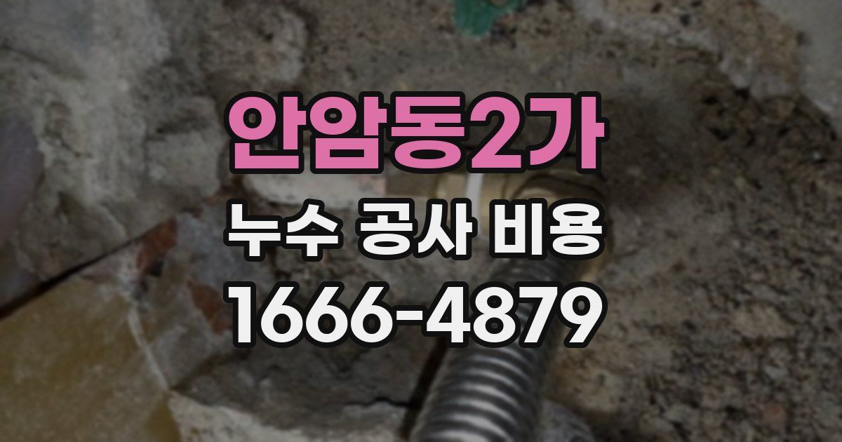 안암동2가 누수 공사 비용