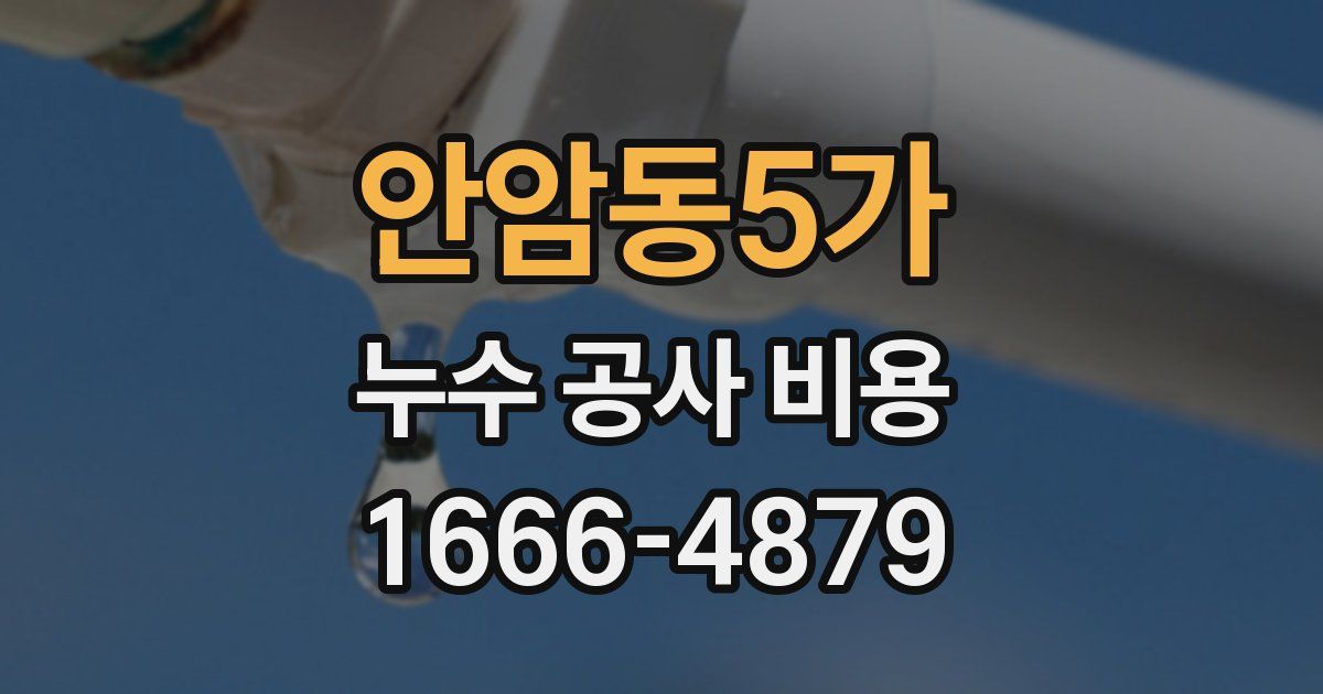 안암동5가 누수 공사 비용