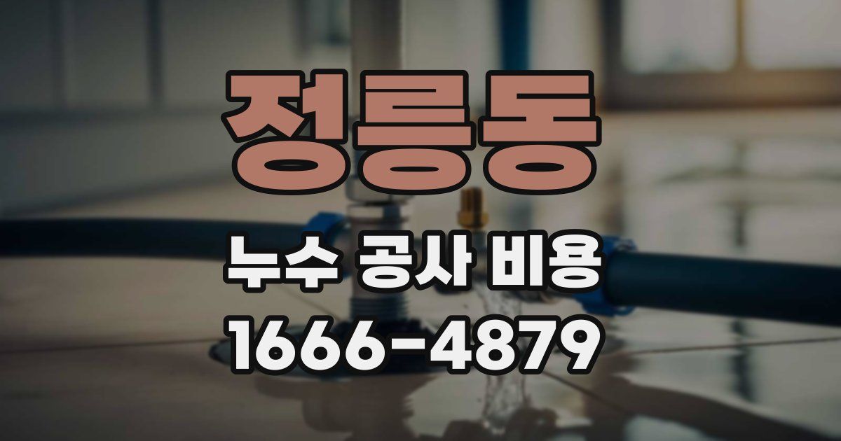 정릉동 누수 공사 비용