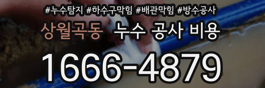 상월곡동 누수 공사 비용