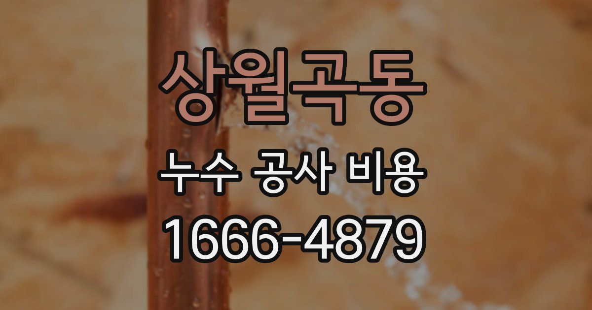 상월곡동 누수 공사 비용