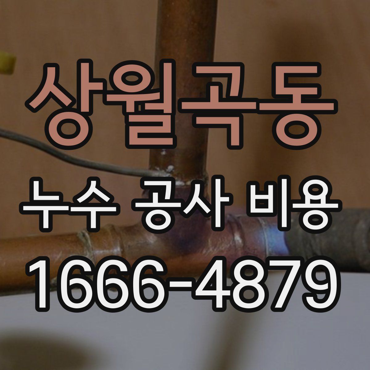 상월곡동 누수 공사 비용
