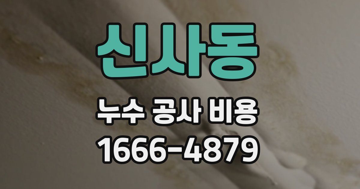 신사동 누수 공사 비용