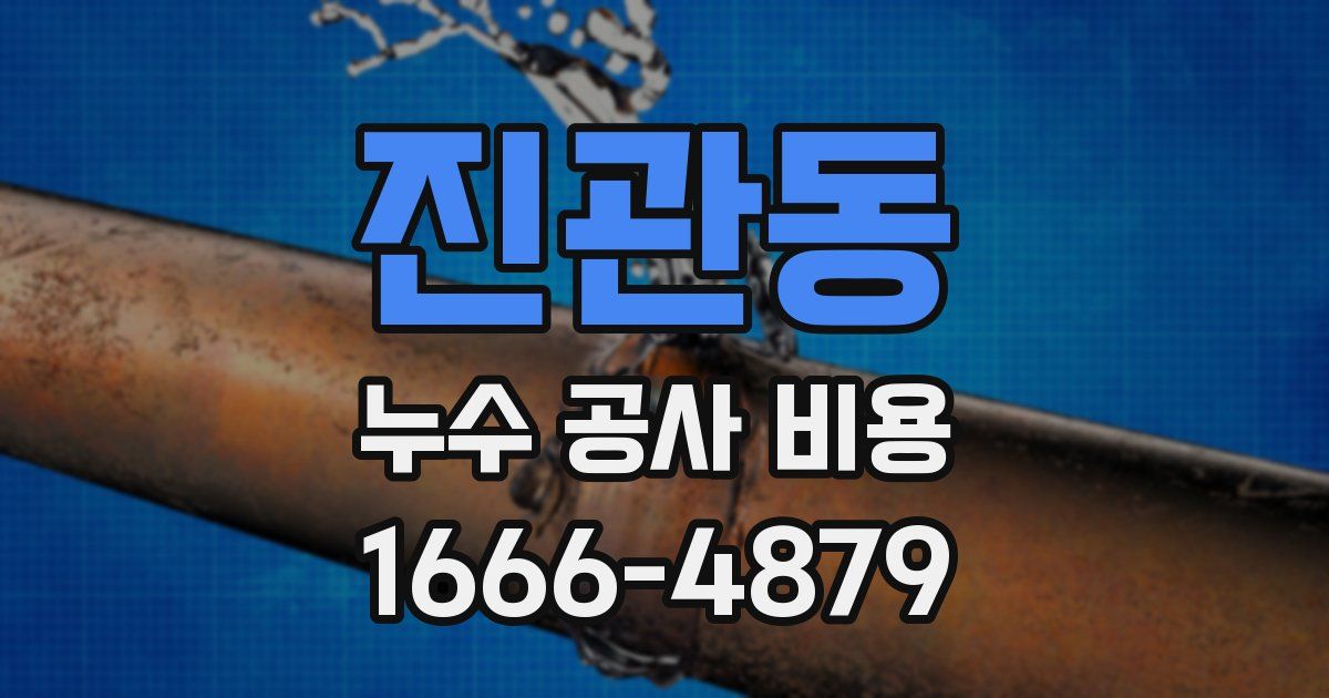 진관동 누수 공사 비용